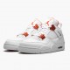 Women/Men Air Jordan 4 Retro Metallic Orange CT8527-118 Jordan Shoes