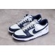 Nike SB Dunk Low Nets --DD3363-001 Casual Shoes Unisex